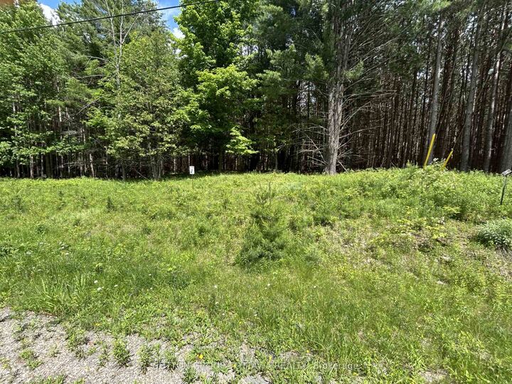 Property Photo:  25 Lumber Jack Trail  ON K7H 3C7 