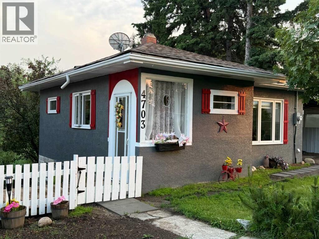 Property Photo:  4703 47 Avenue  AB T0B 3K0 