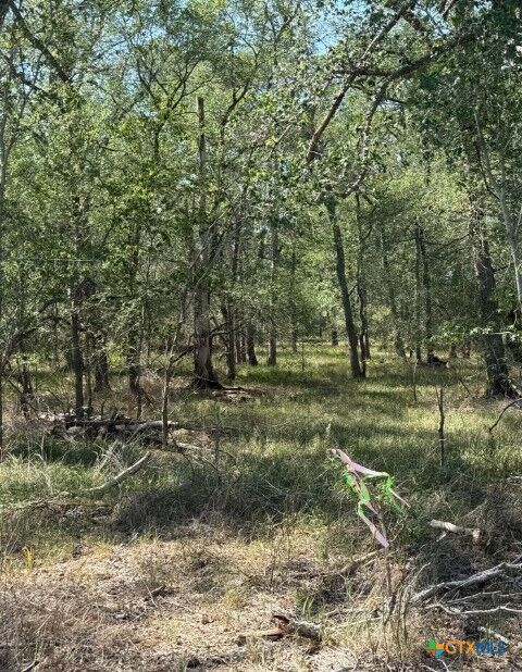 Property Photo:  421 Kerr Avenue  TX 78161 