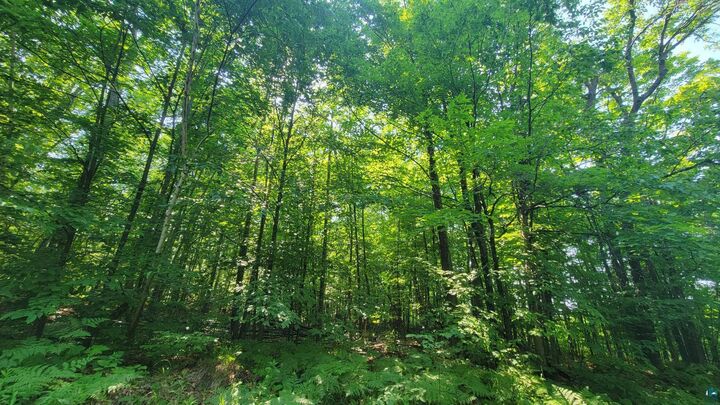 Property Photo: E Half Mile Rd WI 54844