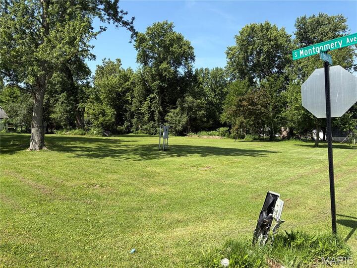Property Photo:  1005 S Montgomery Avenue  IL 62056 