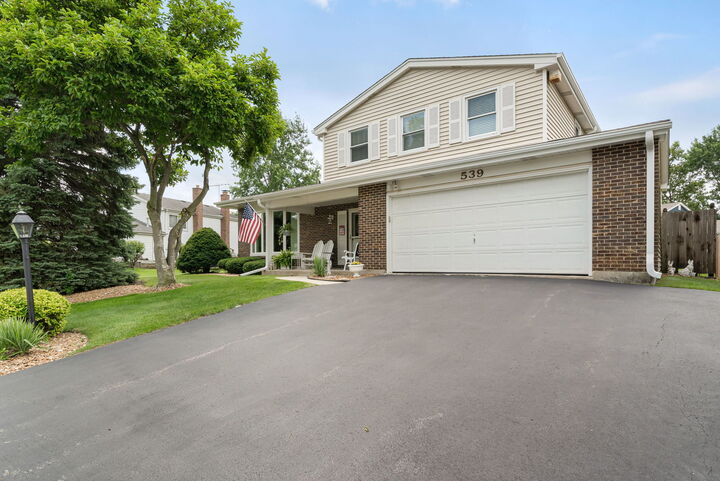 Property Photo:  539 Hamilton Avenue  IL 60559 