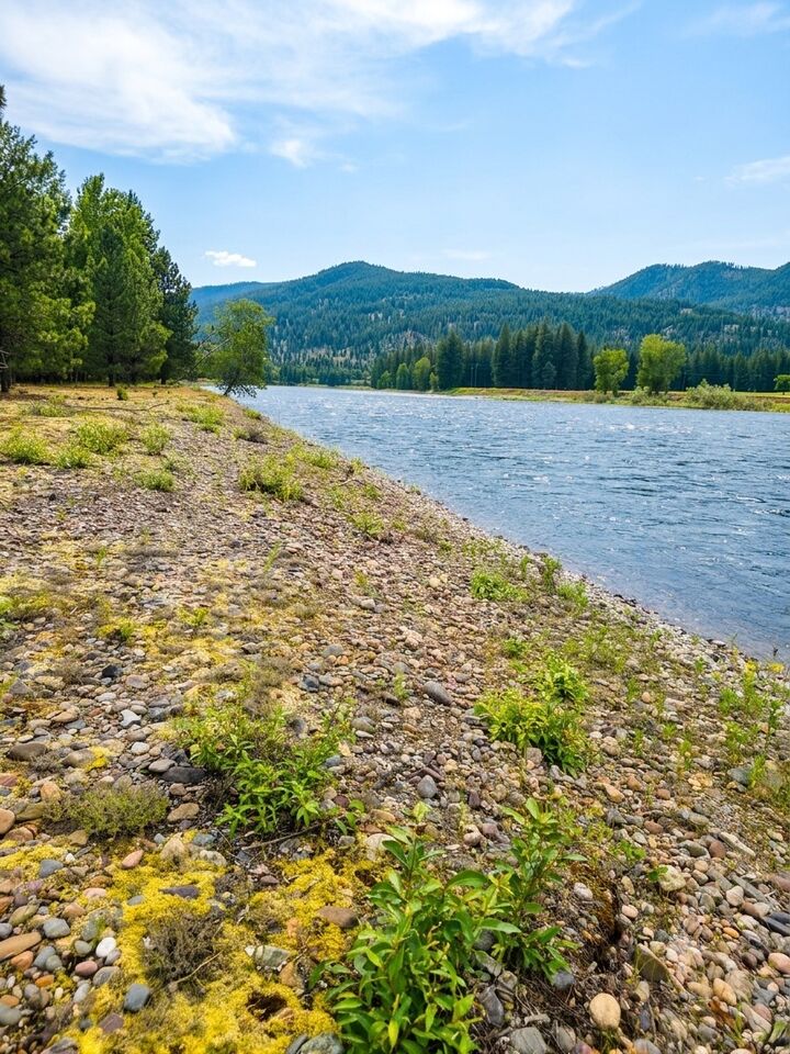 Property Photo:  Lot 46 Old Mill Loop  MT 59866 