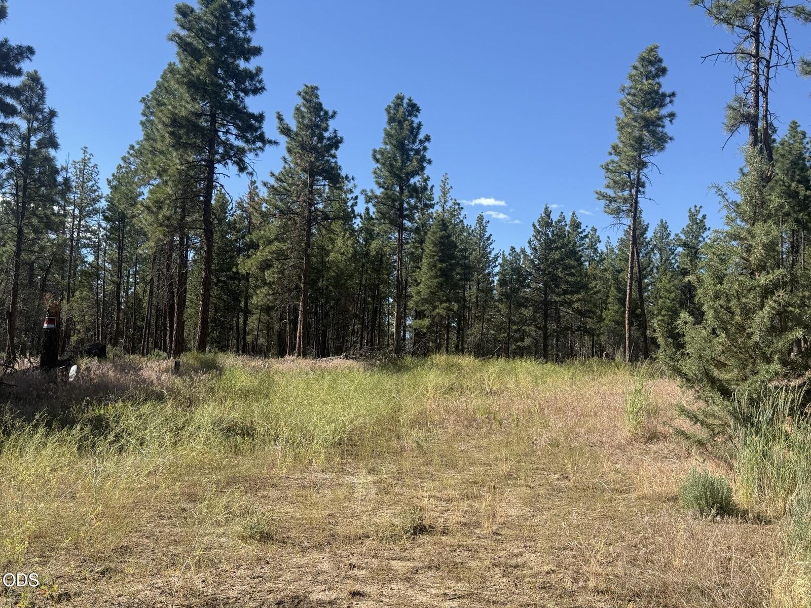 Property Photo:  22337 Wampum Lane  OR 97639 