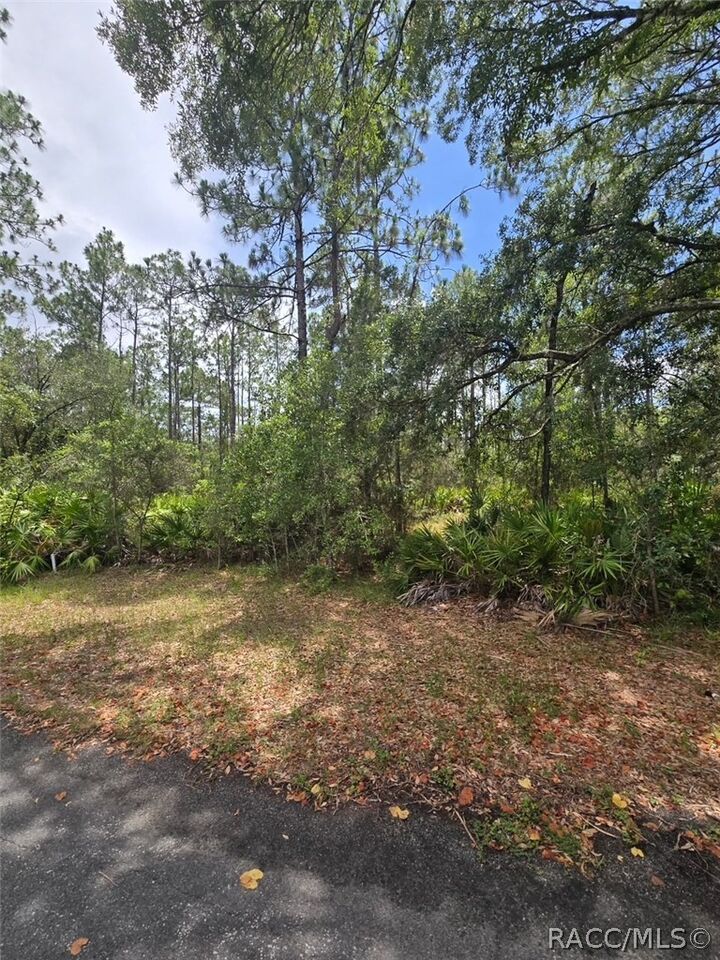 Property Photo: 28 Mangrove Court S FL 34446
