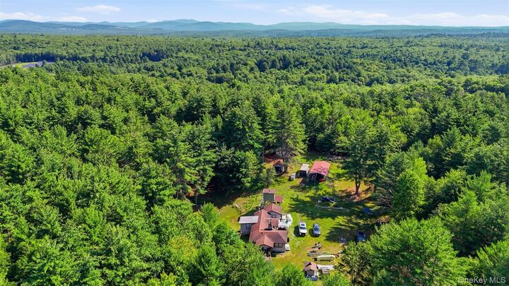 Property Photo:  7300 State Route 52  NY 12435 