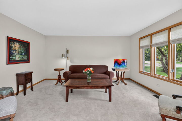 Property Photo:  1385 Von Drash Drive  IL 60561 