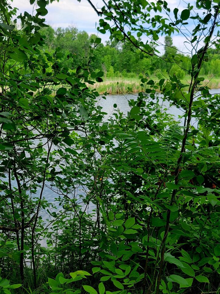 Property Photo: 40130 460th Avenue MN 56573