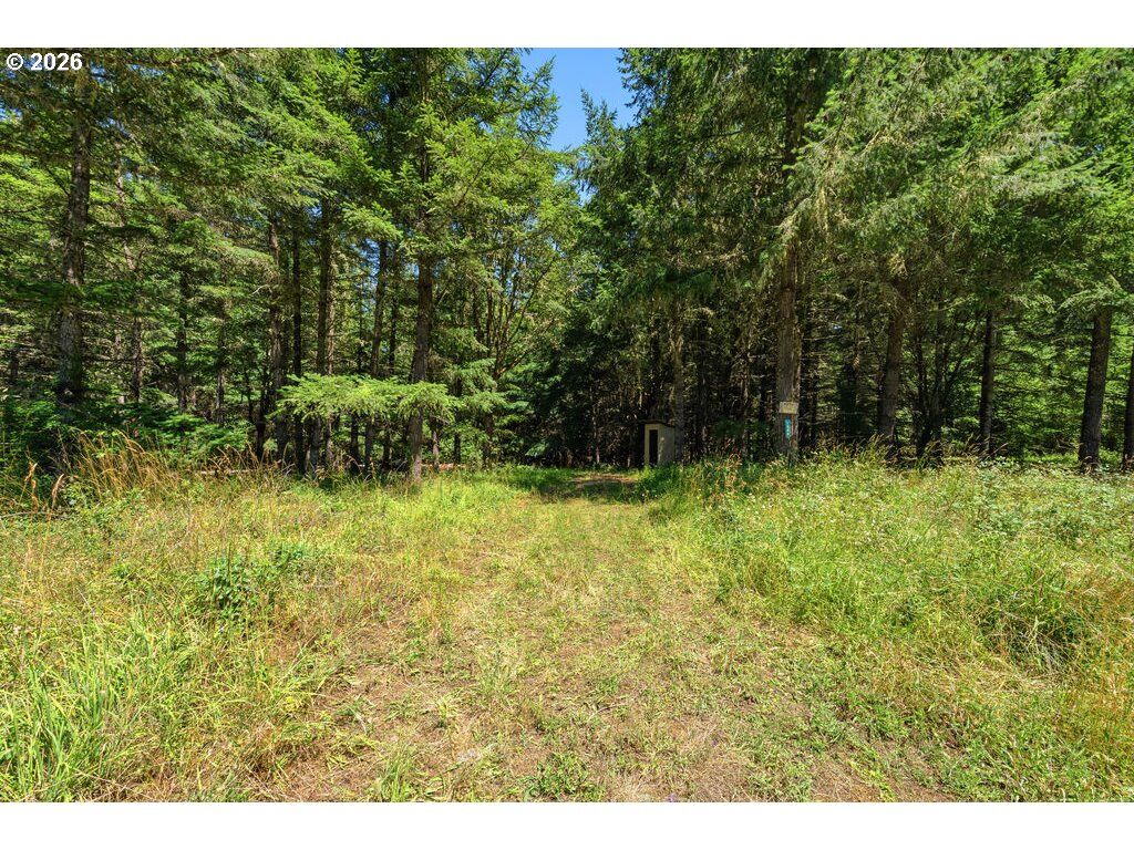 Property Photo: 0 Mustang Dr OR 97462
