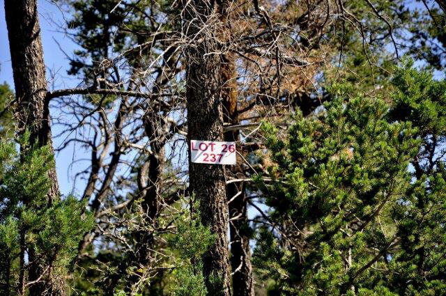 Property Photo:  237 Cummings Drive  NM 88345 