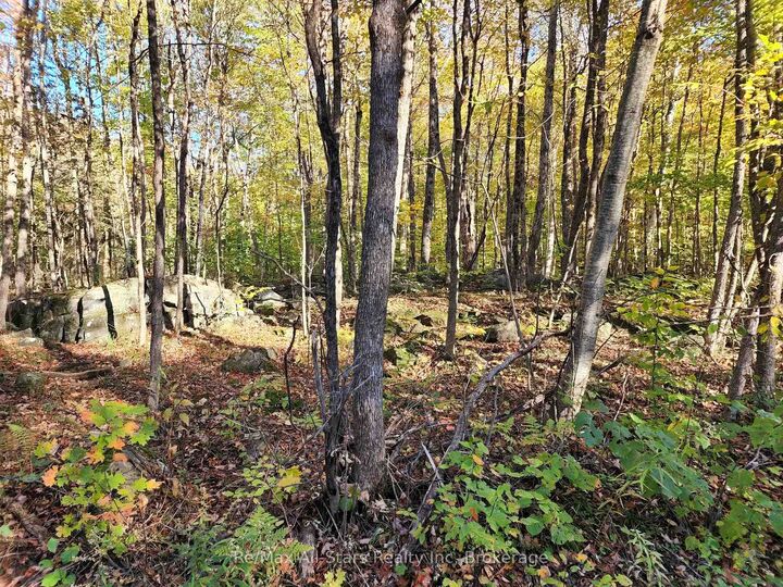 Property Photo:  A Tally Ho Winter Park Road  ON P1H 2J6 