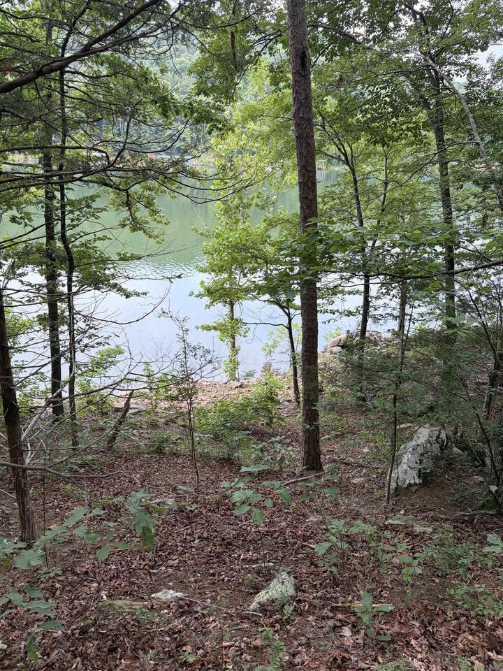 Property Photo: Bear Mountain Rd. AR 72130