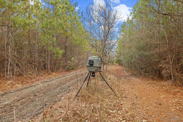 Property Photo:  Tbd 183 Acres Blakely Rd.  SC 29590 