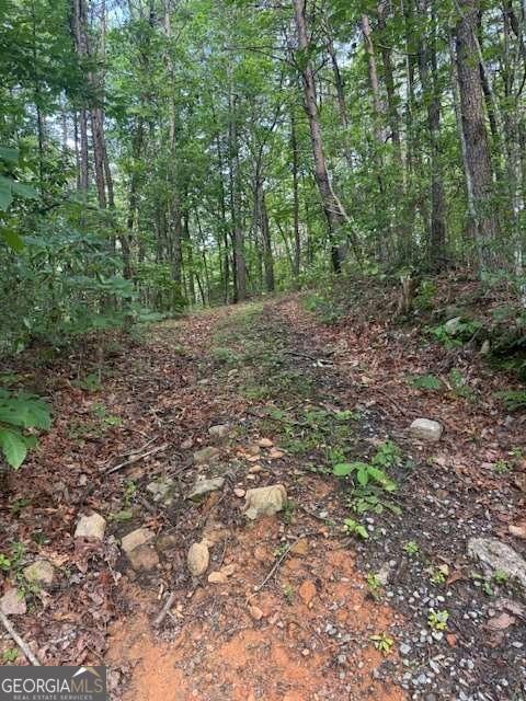 Property Photo:  10.96 Ac Paramount Trail  GA 30536 