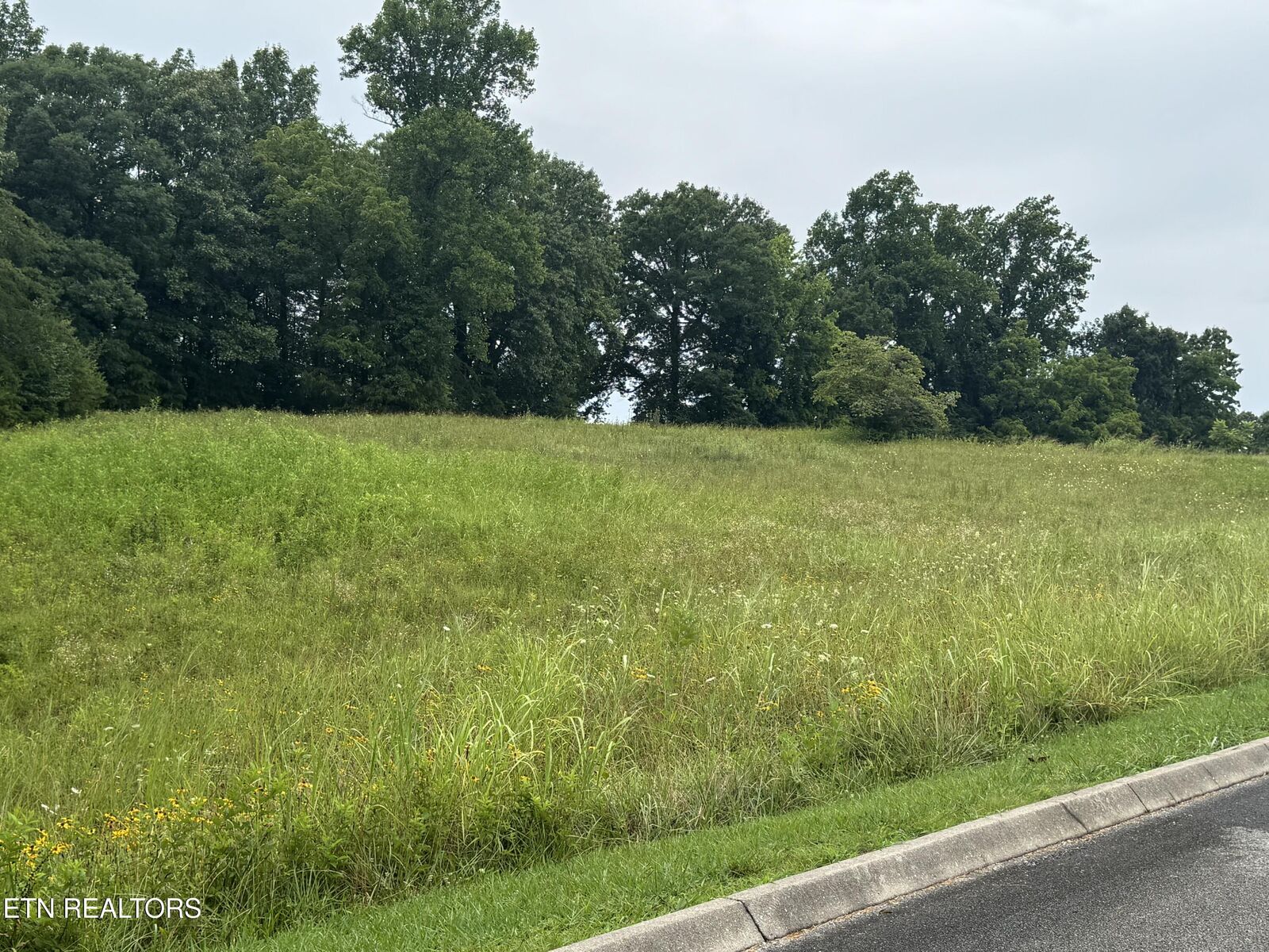 Property Photo:  Lot 50 Melea Lane  TN 37763 