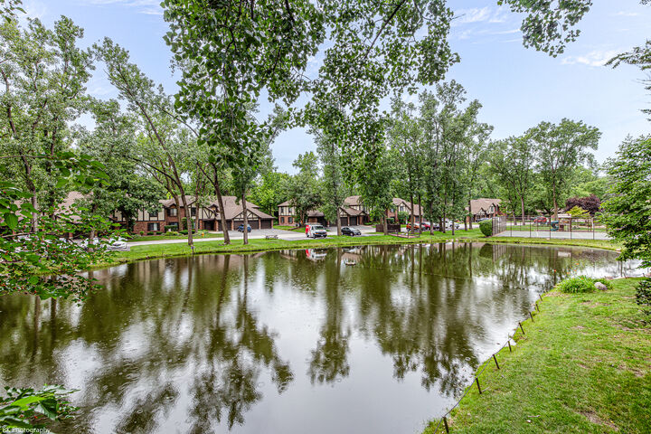 Property Photo: 8127 Chestnut Drive 58C IL 60465