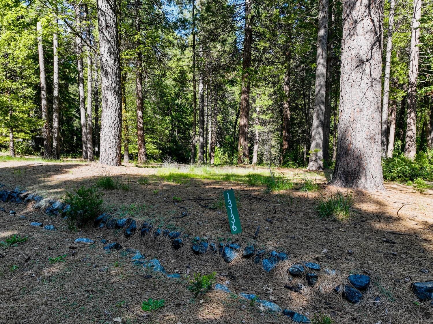 Property Photo:  13136 Woodstock Drive  CA 95959 