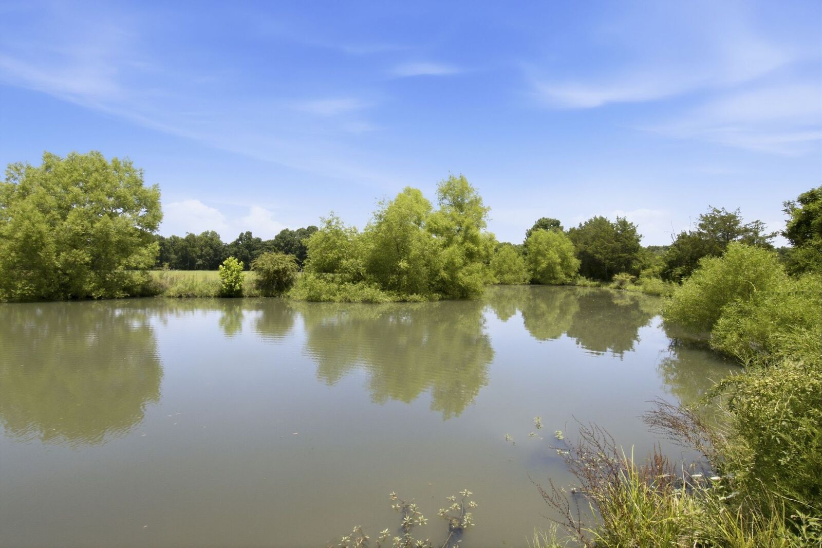Property Photo: 0 Bethlehem Church Road TN 37160