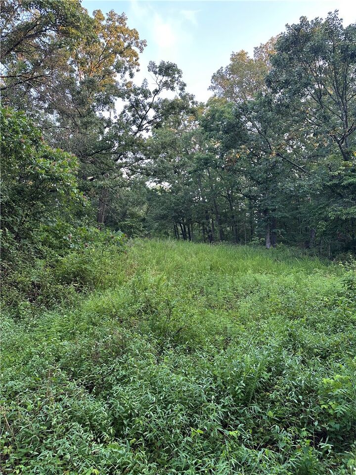 Property Photo: Tbd Denver Lane AR 72714