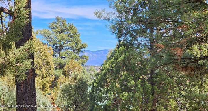 Property Photo:  129 Sunland Road  NM 88312 