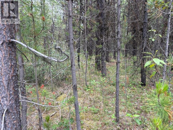 Lot 3 Horse Lake Road — photo 1