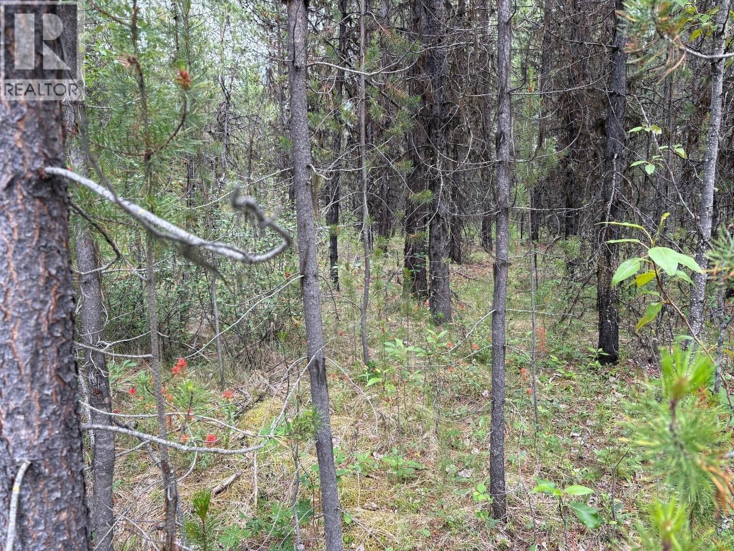 Property Photo:  Lot 3 Horse Lake Road  BC V0K 2E3 