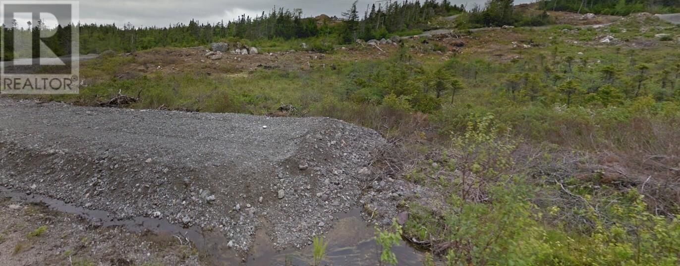 Property Photo:  58 Country Path Road  NL A0A 2R0 