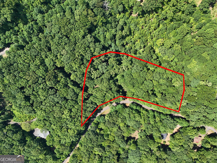 Property Photo:  Lot 71 Chicory Drive W  GA 30512 