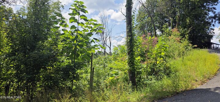 Property Photo:  Lot 14 Sugar Maple Loop Rd  TN 37862 