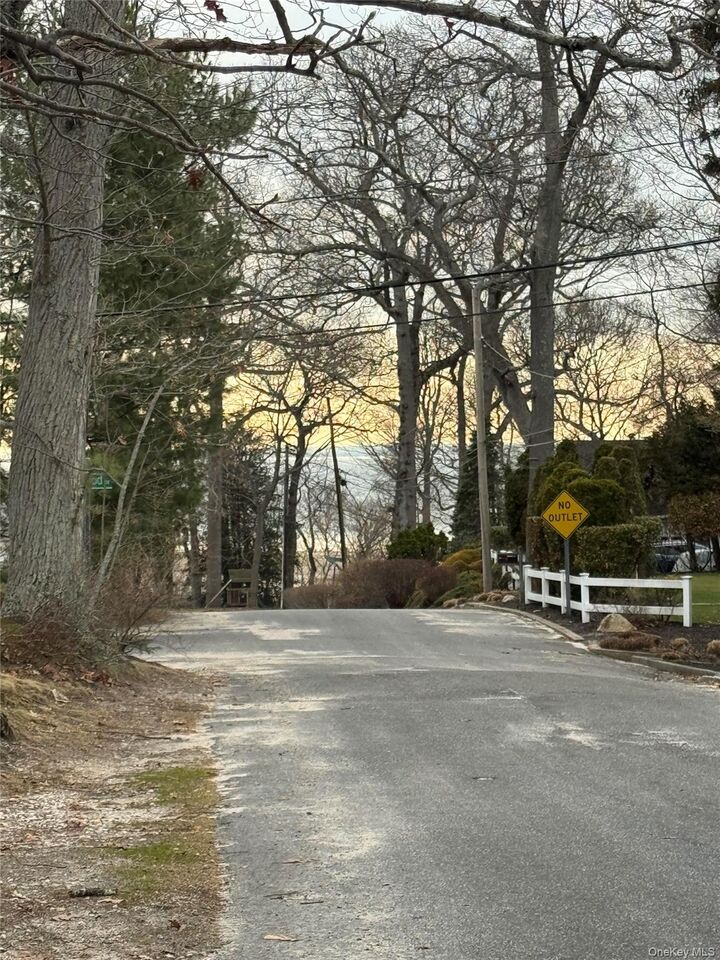 Property Photo:  Dogwood Drive  NY 11790 