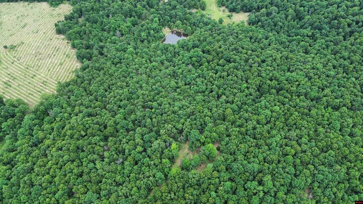 Property Photo:  001-06623-000 Byron Road  AR 72576 