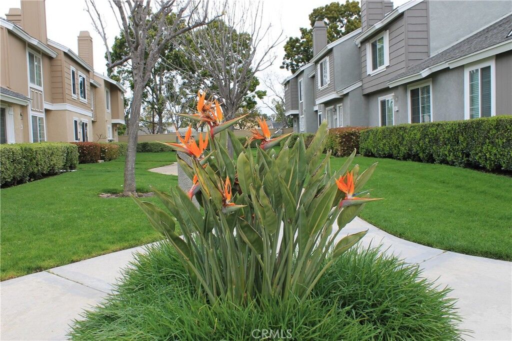 Property Photo: 73 Fox Hollow CA 92614