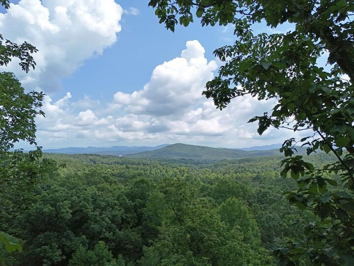 Property Photo: Lot 71 Chicory Drive W GA 30512