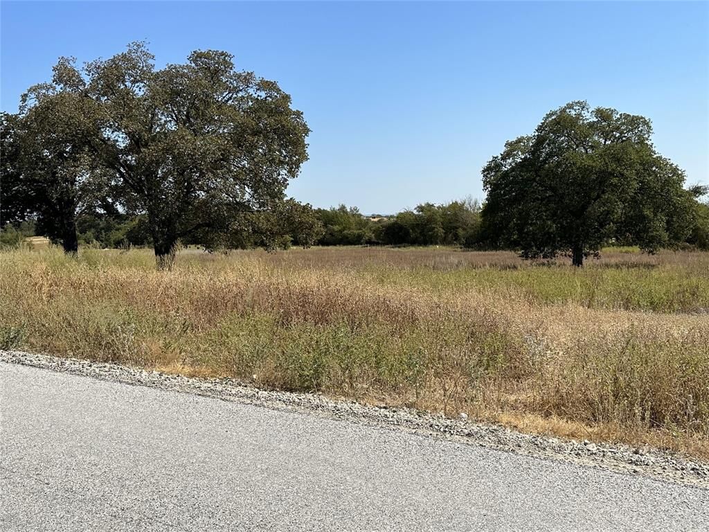 Property Photo:  1010 Gonzollas Road  TX 76082 