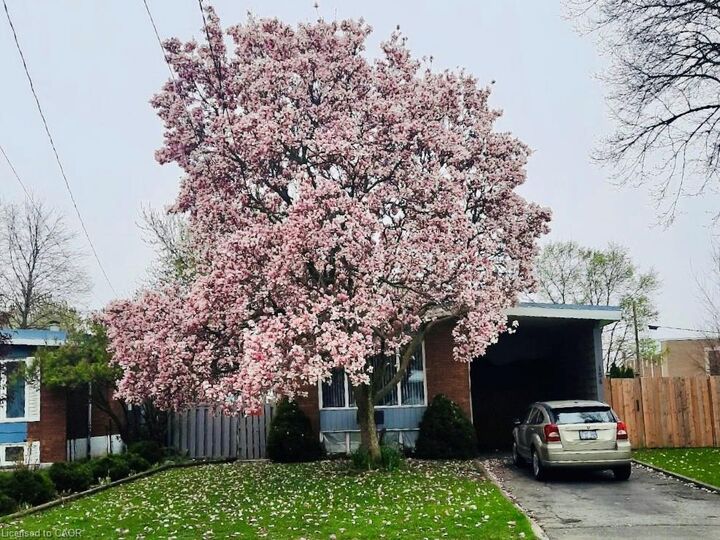 Property Photo:  154 Luscombe Street  ON L9A 2K3 