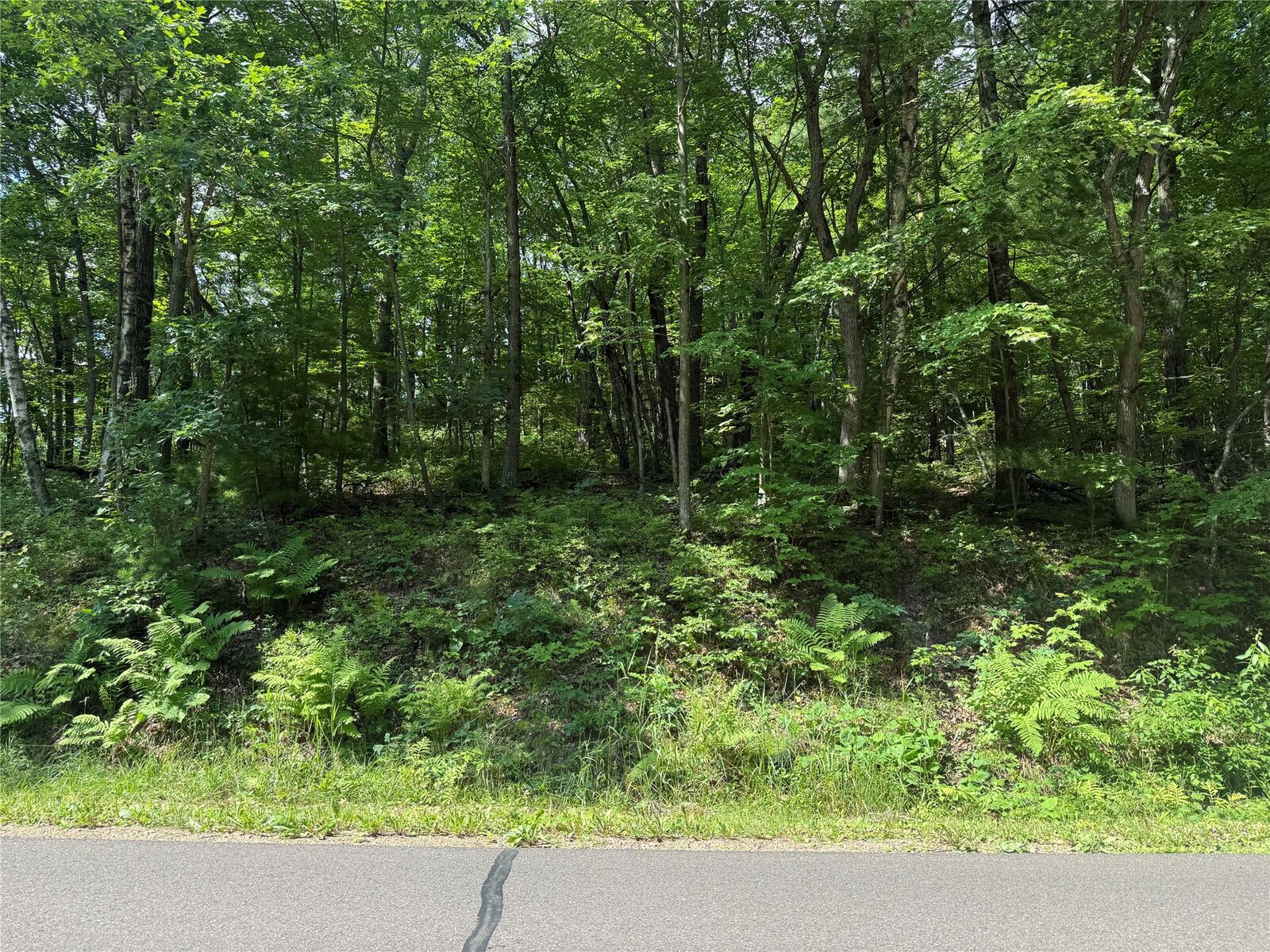 Property Photo:  1.79 Acre N 90th Avenue  WI 54703 
