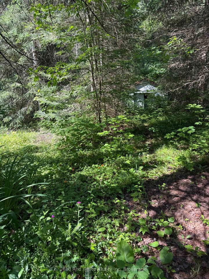 Property Photo:  944 Hwy 592 Highway N  ON P0A 1J0 