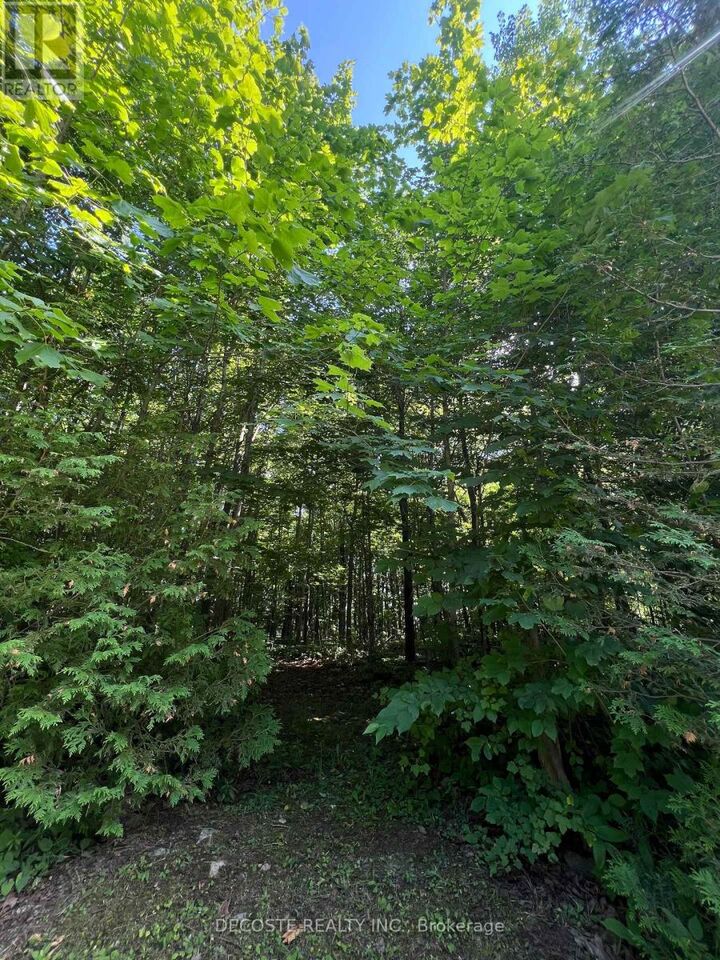 Property Photo:  N/A Maple Road  ON K0C 2J0 