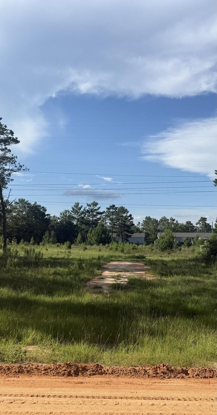 Property Photo:  Tbd E Violet Lane  FL 32433 