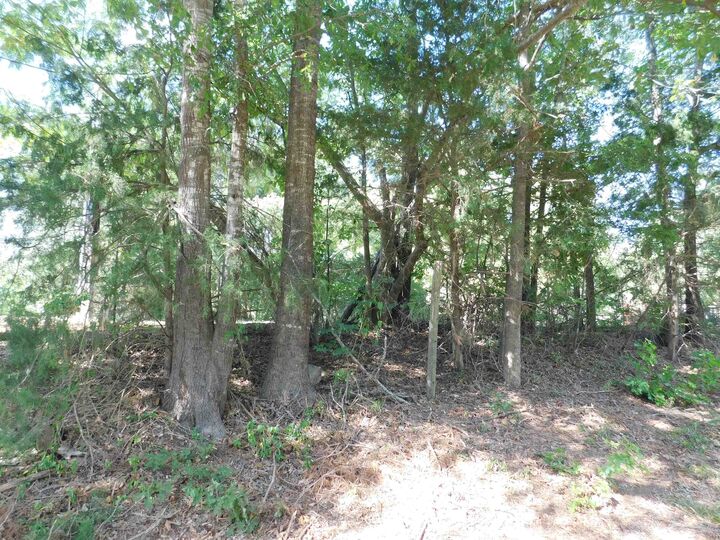 Property Photo:  3030 Rabbit Rd  TX 75644 