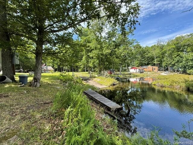 Property Photo:  179 W Mohican Trail  NY 12737 