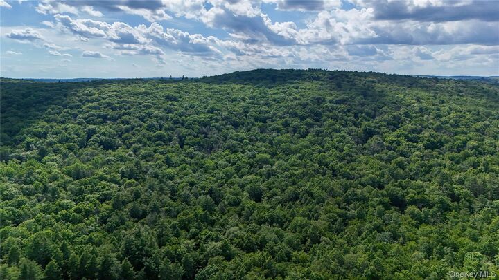 Property Photo:  242 Denton Falls Road  NY 12777 