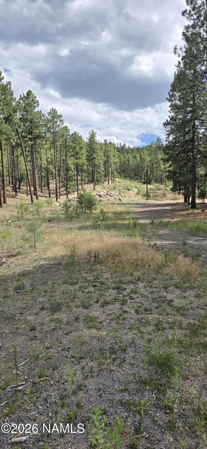 Property Photo:  00 No Name  AZ 86046 