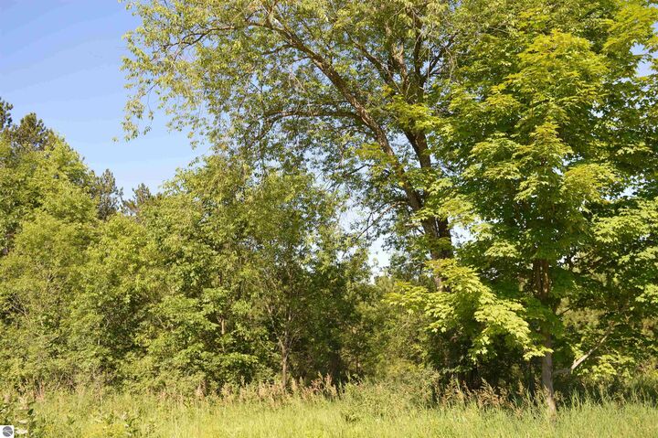 Property Photo: NE Holly Road MI 49646