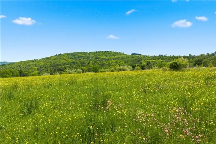 Property Photo:  143 Swift Road 2  NY 13905 