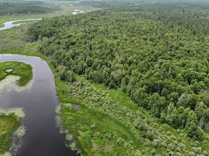 Property Photo:  000 Co Rd 510  MI 49868 