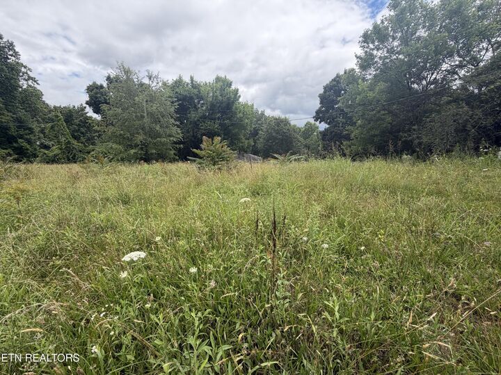 Property Photo: 143 Moser Lane TN 37716