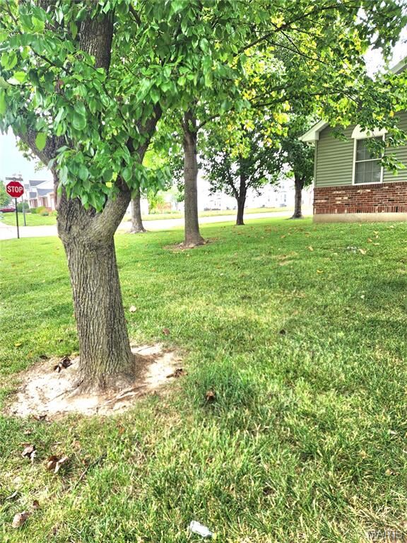 Property Photo: 1236 Saint Matthew Avenue MO 63366