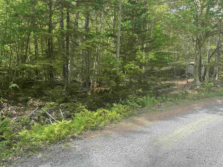Silvers Cove Road — photo 1