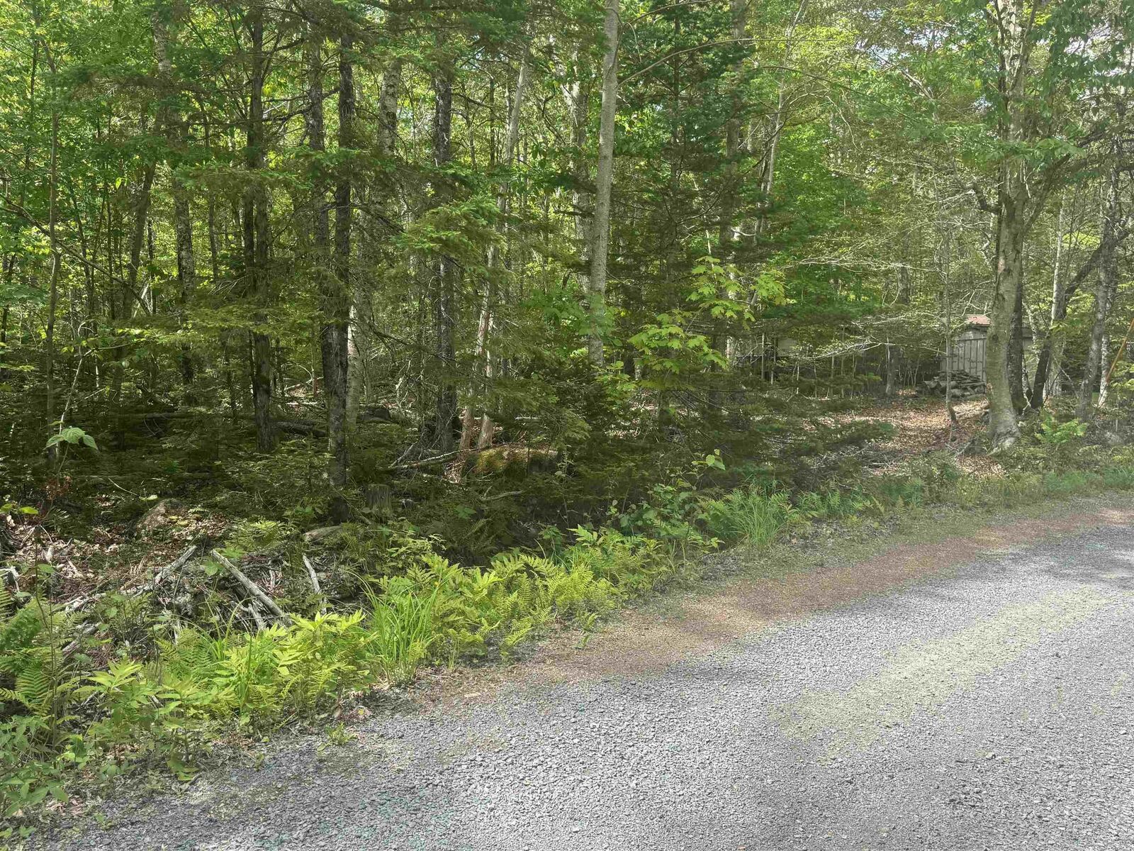 Property Photo:  Silvers Cove Road  NS B0R 1A0 